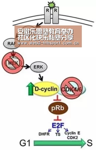 安徽乐思塾教育举办社区化快乐私塾分享会 共话O2O教育的生存之道-华体会体育(图2) 华体会体育