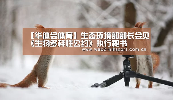 华体会体育