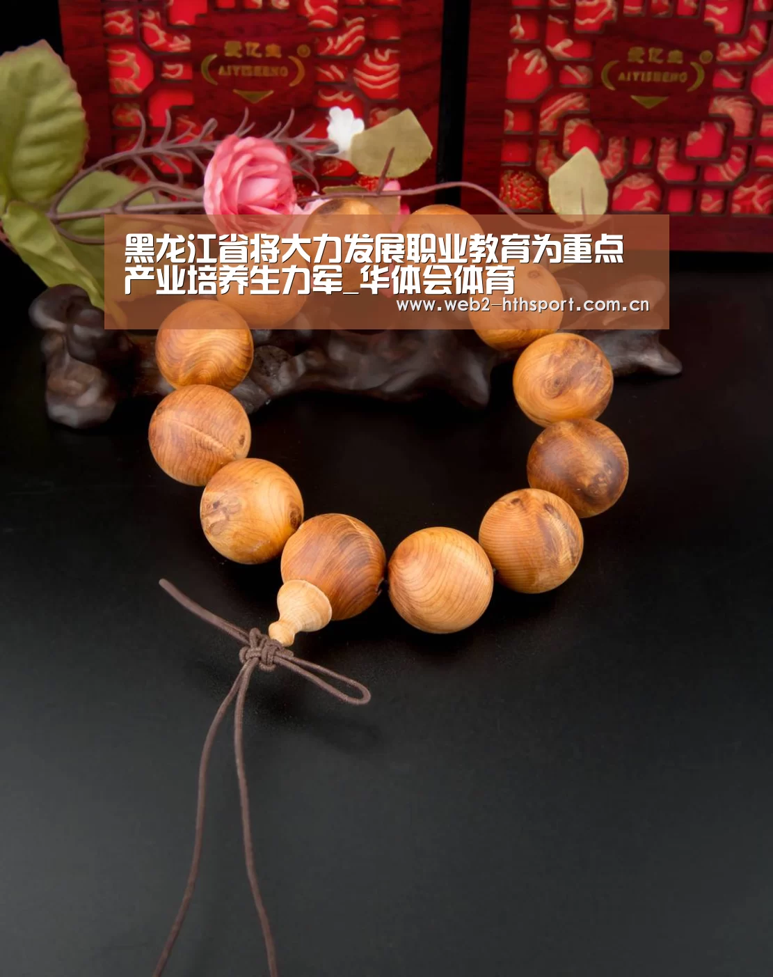 华体会体育