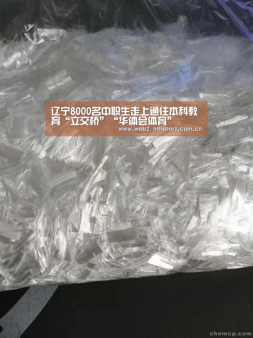 华体会体育