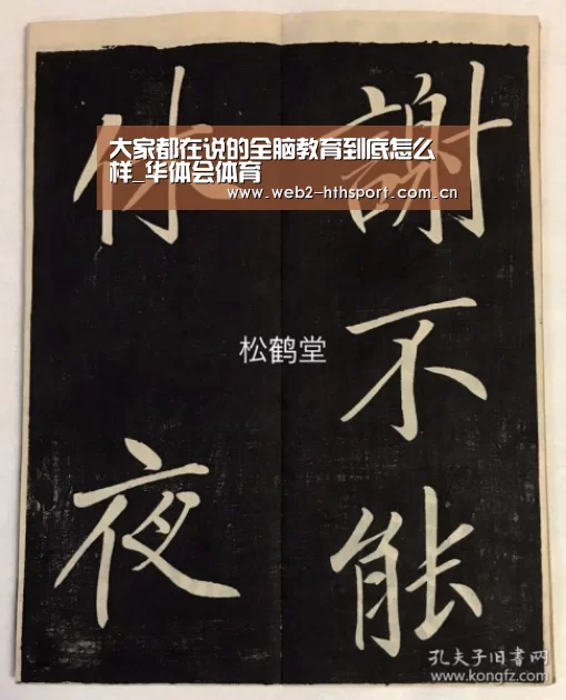 大家都在说的全脑教育到底怎么样_华体会体育(图2) 华体会体育